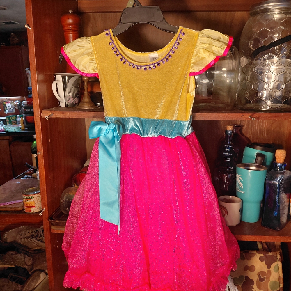 Little Adventures X-Large 7-9years Embroidered Fancy Nancy Girls Dress Up Costum